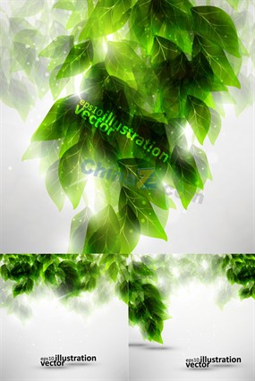 美丽绿叶矢量素材下载